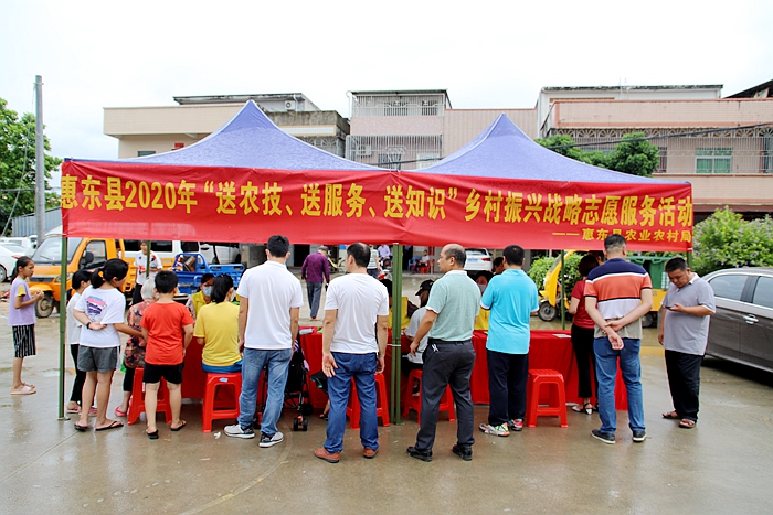 2020年8月5日，惠東縣農(nóng)業(yè)農(nóng)村局開展“送農(nóng)技、送服務(wù)、送知識(shí)”鄉(xiāng)村振興戰(zhàn)略志愿服務(wù)活動(dòng)4.jpg