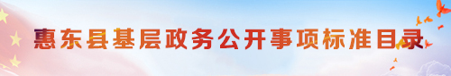 全面推進(jìn)基層政務(wù)公開(kāi)標(biāo)準(zhǔn)化規(guī)范化